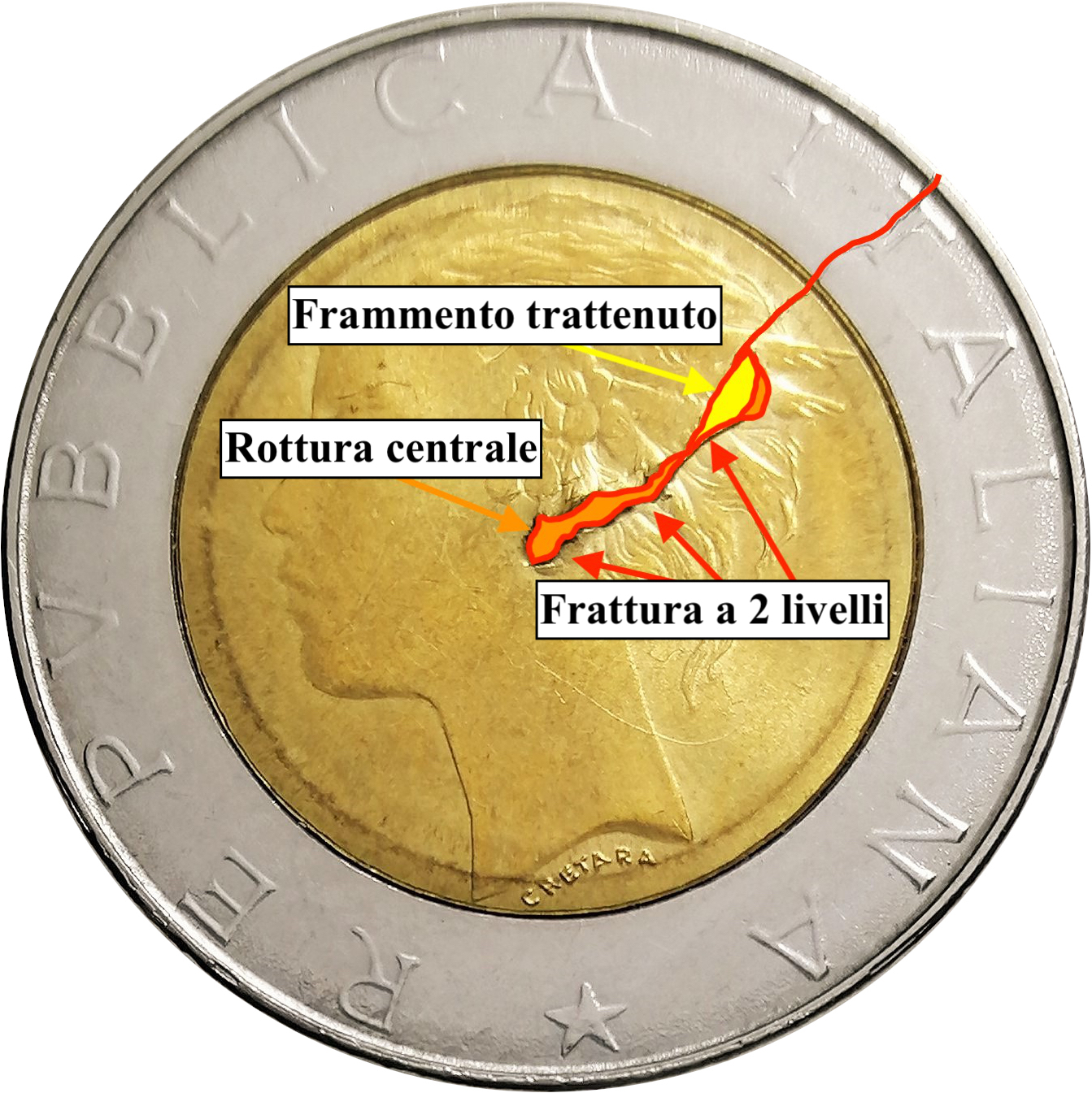 sena coins